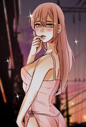 钢之炼金术师 封面